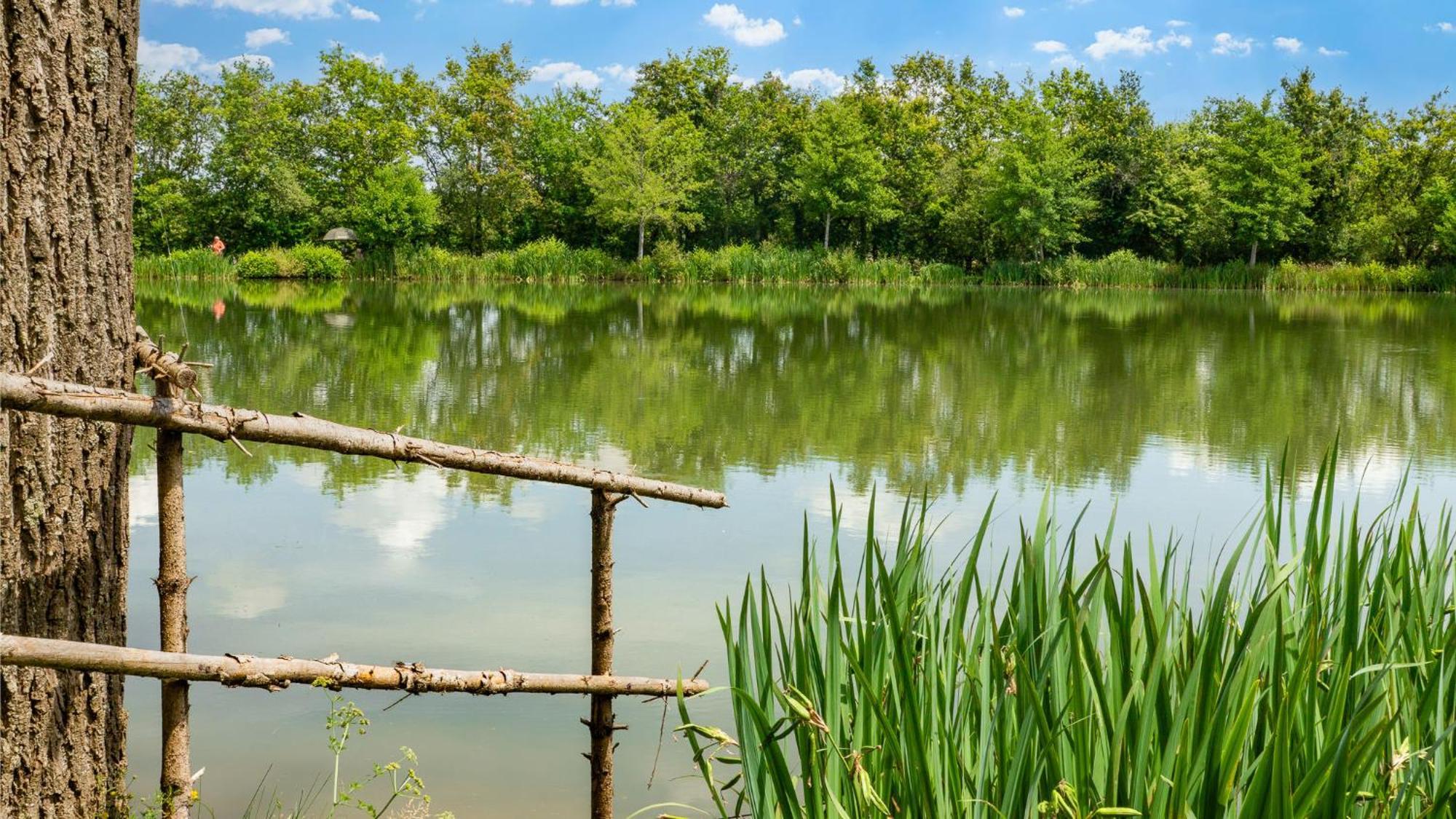 Camping Aubigny-Les Clouzeaux Aubigny  外观 照片